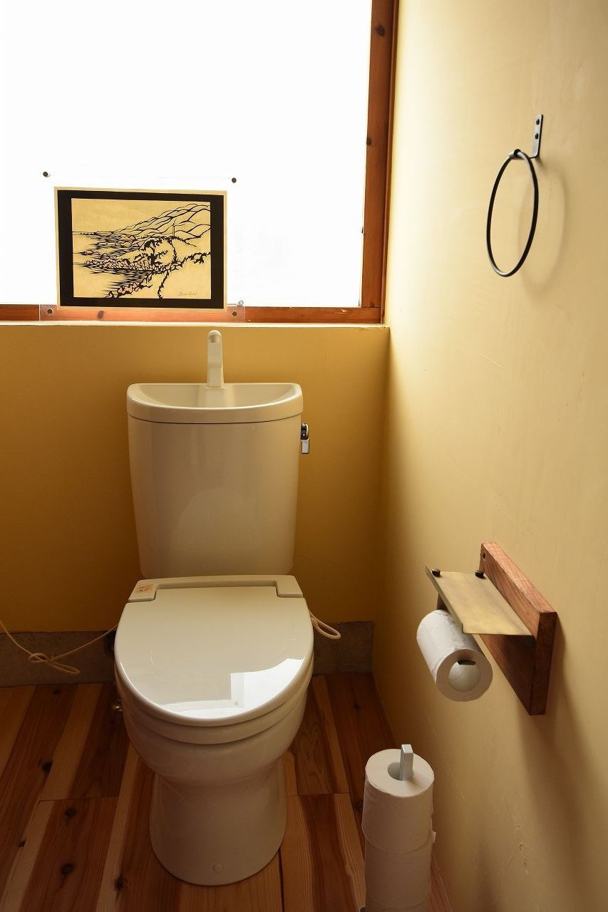 toilet3.jpg