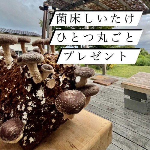 65D19386-2604-47D4-96DA-739E66326342.jpeg