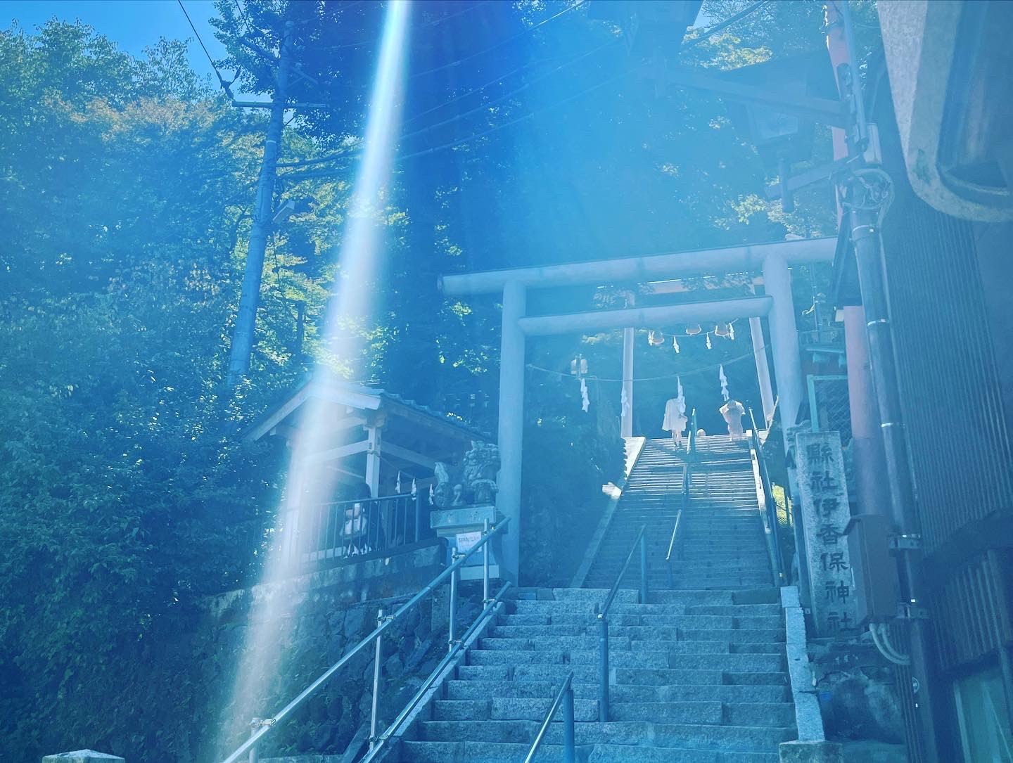 今年の夏も暑くなりそうです☀️