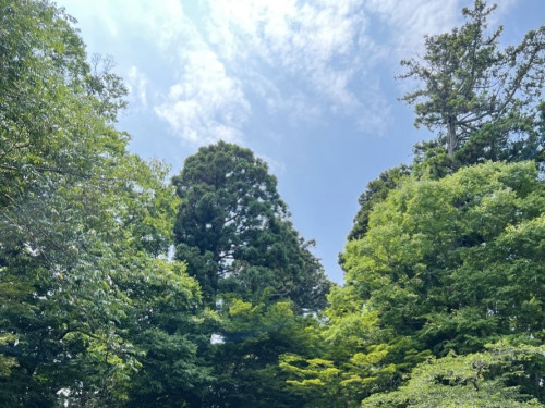 ブログ更新