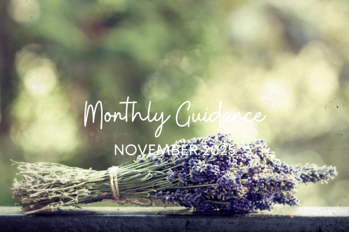 【11月】サロン便り