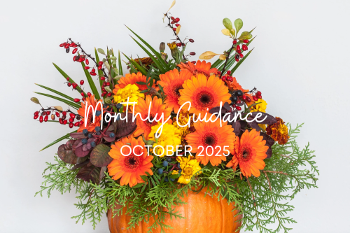 Monthly guidance.png