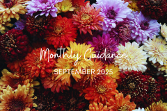 Monthly guidance.png