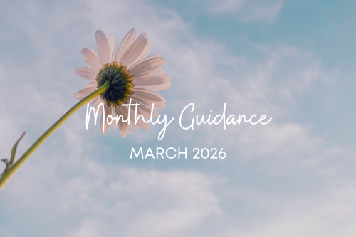 【3月】サロン便り