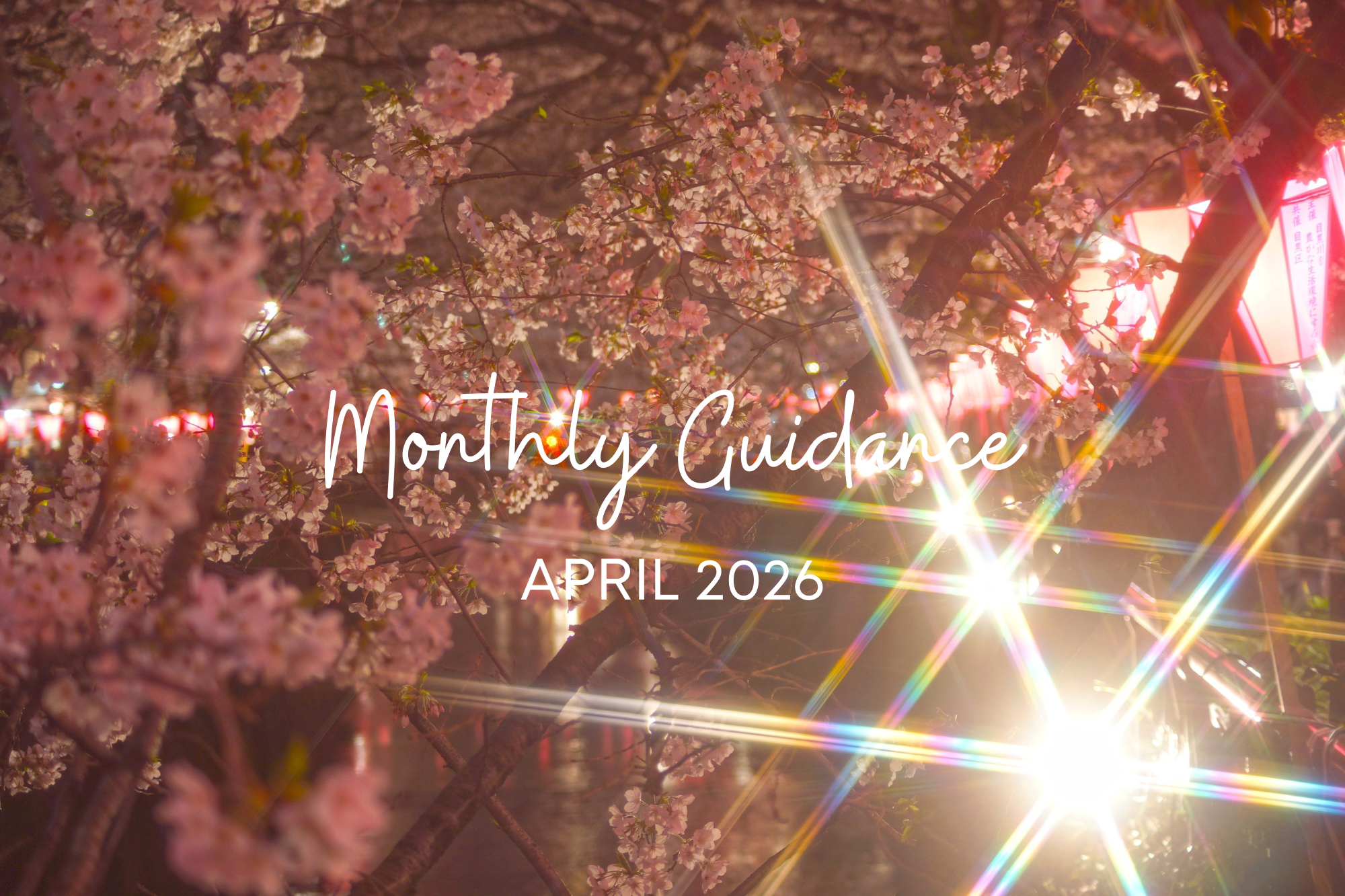 【4月】サロン便り