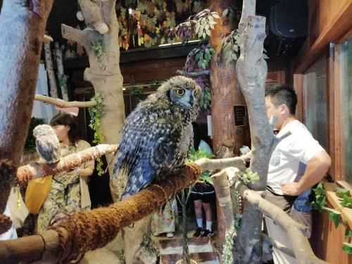 IMG_20190814_103958.jpg
