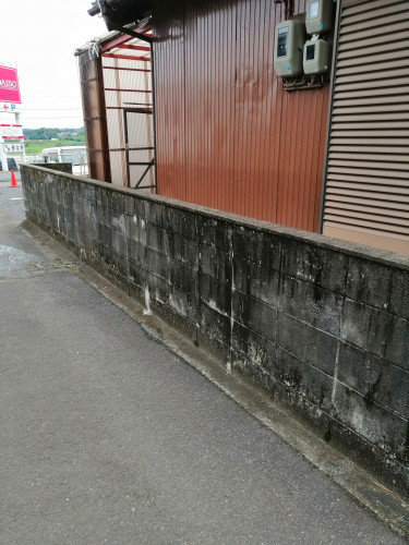 1600310205225.jpg