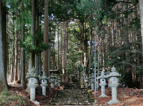 お参りに