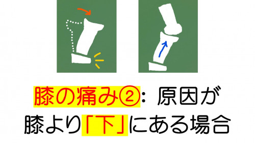 痛み　膝下要因　8.8.jpg