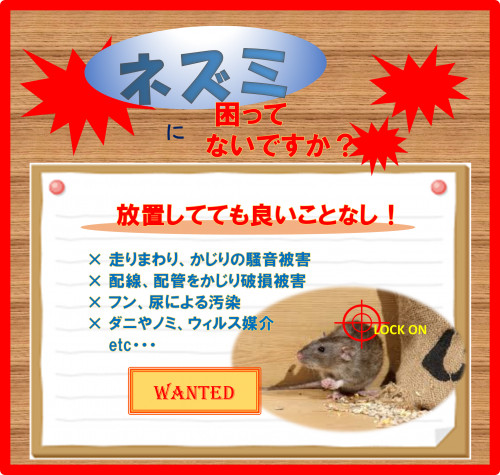 ネズミ広告②.png