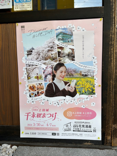 3月30日~4月7日　信州上田城千本桜まつり　が開催されます　来て！来て！