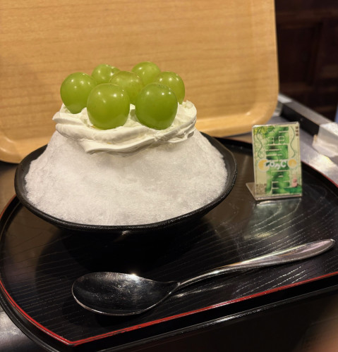 2025.シャインみるく.jpg