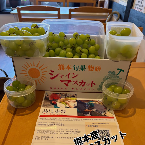 熊本シャイン.jpg