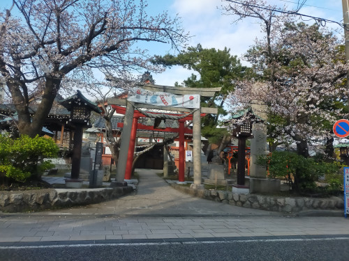 IMG20250407162608.jpg