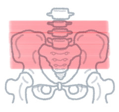 body_kotsuban_white.jpg