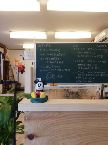 IMG_20190202_100145.jpg