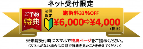 ネット特典その2.png