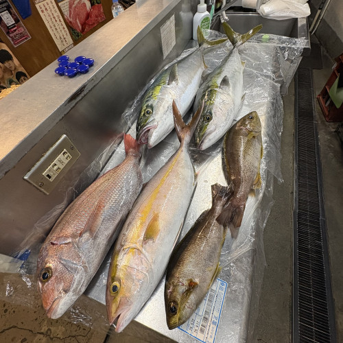 ご報告（🐟大漁のお知らせです！）