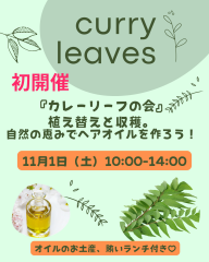 カレーリーフの会「自然の恵みでヘアオイルを作ろう」