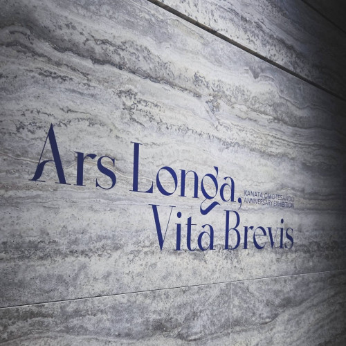  ARS LONGA, VITA BREVIS