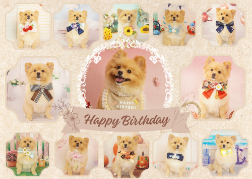 Happy Birthday.PNG