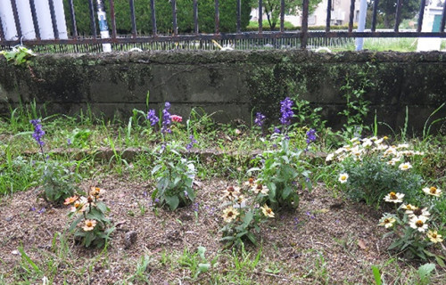 aoyamablo-20250630-10.jpg