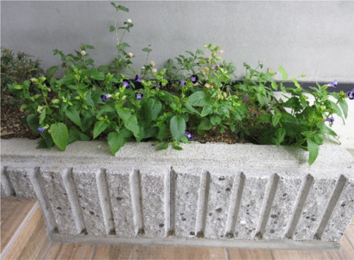 blog-aoyama202509-11.jpg