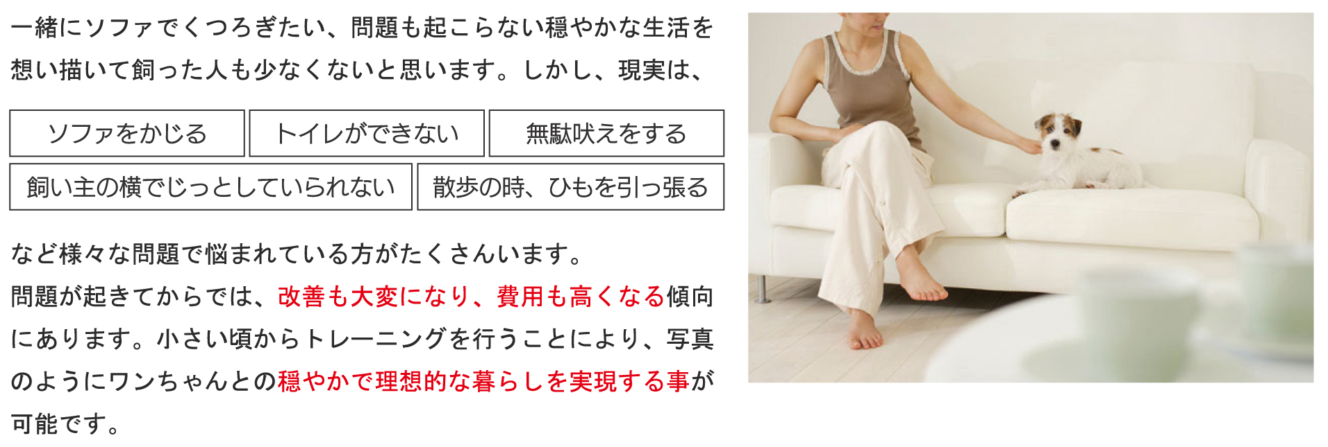 test001.jpg