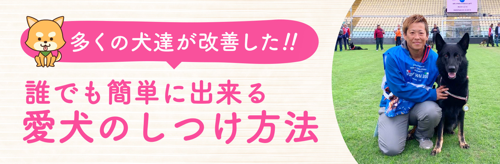 愛犬のしつけや悩みを相談するなら 春日ドッグスクール