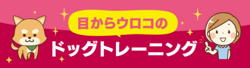 バナー.jpg