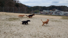 AB234190-50BE-4650-81E4-E47A8219C2C2.jpeg