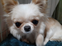 20210218_172906.jpg