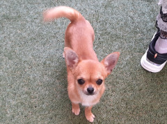 20210606_072822.jpg