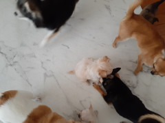 20210610_111049.jpg