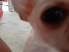20210611_110833.jpg