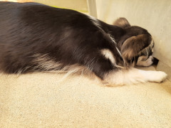 20210613_121628.jpg