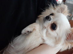20210624_080716.jpg