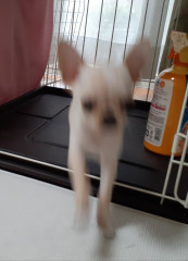 20210708_120445.jpg