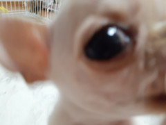 20210708_111516.jpg