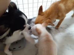20210708_111859.jpg