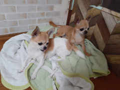 20210808_063400.jpg