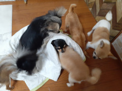 20210813_063834.jpg
