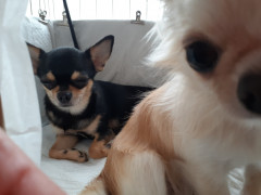 20210823_122830.jpg