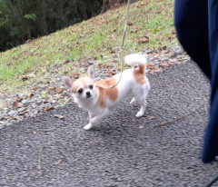 20211019_151404.jpg