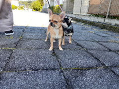 20211023_114527.jpg