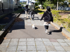 20211023_114310_001.jpg
