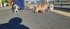 20211108_171014.jpg