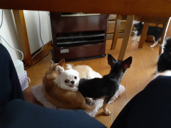 20211116_075709.jpg