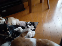 20211116_075404.jpg