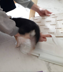 20211114_112338.jpg